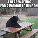 Patient Bear | A BEAR WAITING FOR A WOMAN TO DINE ON | image tagged in patient bear,women,feminism,feminist,triggered feminist | made w/ Imgflip meme maker