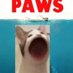 Sp3x_ paws meme