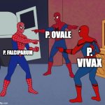 Malaria strains | P. OVALE; P. FALCIPARUM; P. VIVAX | image tagged in spider man triple | made w/ Imgflip meme maker