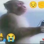Monkey on Phone meme