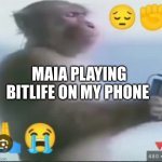 Maia playing bitlife on my phone belike | MAIA PLAYING BITLIFE ON MY PHONE | image tagged in 2024,maia,bitlife,sigma,monkey,funny | made w/ Imgflip meme maker