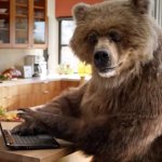 bear with laptop