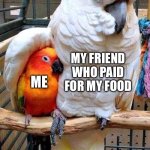 Oh thank you grand protector | MY FRIEND WHO PAID FOR MY FOOD; ME | image tagged in big bird comforting small bird,thank you,oh wow are you actually reading these tags | made w/ Imgflip meme maker