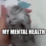 PTSD cat | MY MENTAL HEALTH; SCHOOL; MY MENTAL HEALTH; CHORES; HOMEWORK; MY MENTAL HEALTH | image tagged in gifs,mental health,cat,homework,flashback | made w/ Imgflip video-to-gif maker