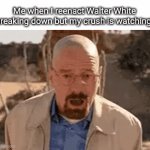 Me when I do sillyness and my crush sees | Me when I reenact Walter White breaking down but my crush is watching. | image tagged in gifs,crush,when your crush,funny | made w/ Imgflip video-to-gif maker