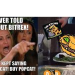 Woman Yelling At Cat | YOU NEVER TOLD ME ABOUT BITREX! YOU JUST KEPT SAYING 'BUY POPCAT! BUY POPCAT! | image tagged in memes,woman yelling at cat | made w/ Imgflip meme maker