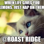 First World Problems Cat | WHEN LIFE GIVES YOU LEMONS, JUST NAP ON THEM. @ROAST RIDGE | image tagged in memes,first world problems cat | made w/ Imgflip meme maker