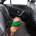 Sleeping