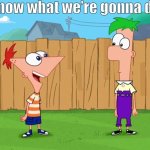 Hey Ferb I know what we’re gonna do today meme