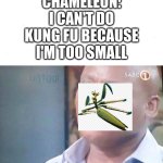 Chameleon has no excuse to be an antagonist. (Kung Fu Panda 4) | CHAMELEON: I CAN'T DO KUNG FU BECAUSE I'M TOO SMALL | image tagged in am i joke to you | made w/ Imgflip meme maker