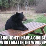 Bad Luck Bear | SHOULDN'T I HAVE A CHOICE WHO I MEET IN THE WOODS? | image tagged in memes,bad luck bear | made w/ Imgflip meme maker