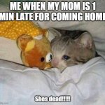 im worried | ME WHEN MY MOM IS 1 MIN LATE FOR COMING HOME; Shes dead!!!!! | image tagged in crying cat | made w/ Imgflip meme maker