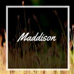 Maddison field