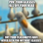 POV: Your classmates have never seen you without glasses: | POV: YOUR GLASSES FALL OFF YOUR HEAD; BUT YOUR CLASSMATES HAVE NEVER SEEN YOU WITHOUT GLASSES: | image tagged in seagull finding nemo | made w/ Imgflip meme maker