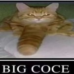 BIG COCE meme