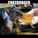 relatable | CHEEBURGER | image tagged in burger cat,funny | made w/ Imgflip meme maker