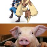 Happy Pig loves Lucario and Lopunny as a couple | image tagged in happy pig | made w/ Imgflip meme maker