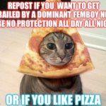 Repost if you like pizza