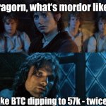 Aragorn explains Mordor via BTC | Aragorn, what‘s mordor like? Like BTC dipping to 57k - twice! | image tagged in lotr they were once men,bitcoin,cryptocurrency,hobbits | made w/ Imgflip meme maker