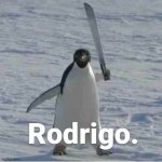 Rodrigo | image tagged in rodrigo,memes | made w/ Imgflip meme maker