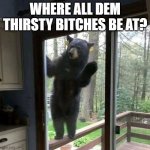 Bear looking for thirsty women | WHERE ALL DEM THIRSTY BITCHES BE AT? | image tagged in bear wants thirsty wimmin | made w/ Imgflip meme maker