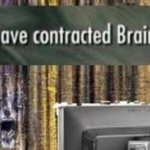 You have contracted brain rot