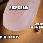 :( | RICE GRAIN; WORLD'S 
SMALLEST COMPUTER; WOMEN POCKETS | image tagged in worlds smallest computer | made w/ Imgflip meme maker
