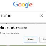 Nintendo Ninjas Will Get You | nes roms; Nintendo | image tagged in wants to know your location,roms,nes,nintendo,ninjas | made w/ Imgflip meme maker