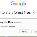 A Bear That Doesn't Mess Around | how to start forest fires; Smokey the Bear | image tagged in wants to know your location,forest,fire,smokey the bear,danger | made w/ Imgflip meme maker