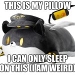 dog N | THIS IS MY PILLOW; I CAN ONLY SLEEP ON THIS (I AM WEIRD) | image tagged in dog n | made w/ Imgflip meme maker