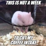 Please, let there be more coffee | THIS IS NOT A WEEK; TO CUT MY
COFFEE INTAKE | image tagged in sleeping hamster on a wheel,coffee,caffeine,tired,how i feel | made w/ Imgflip meme maker