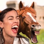 AOC HORSE