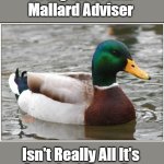 Pondside Confessions | Being an Actual 

Mallard Adviser; Isn't Really All It's 

Quacked Up to Be. | image tagged in memes,actual advice mallard,now that you asked,silly,pondside confession,the more you know | made w/ Imgflip meme maker