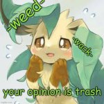 trash