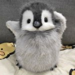 penguin