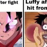 Luffy Fight