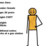 Sara's info meme