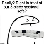 Really? Right in front of our 3-piece sectional sofa? | Really? Right in front of
our 3-piece sectional 
sofa? | image tagged in really right in front of my | made w/ Imgflip meme maker