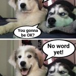 Bad pun dogs | I ate
all the Scrabble
tiles! You gonna
be OK? No word
yet! | image tagged in bad pun dogs,memes,scrabble,tiles | made w/ Imgflip meme maker