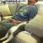 man and cat | FAMILY: WANTS A CAT
DAD: DOESN'T WANT A CAT
FAMILY: GETS A CAT ANYWAYS
DAD AND THE CAT | image tagged in man and cat | made w/ Imgflip meme maker