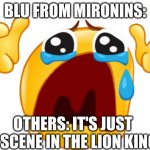 some birb | BLU FROM MIRONINS:; OTHERS: IT'S JUST A SCENE IN THE LION KING | image tagged in crying emoji,mironins | made w/ Imgflip meme maker