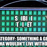 Hint: It's every Gen Alpha's spirit animal | S_IBI_I 
T_I_ET; CATEGORY: SOMETHING A GEN ALPHA WOULDN'T LIVE WITHOUT | image tagged in wheel of fortune,funny,gen alpha | made w/ Imgflip meme maker