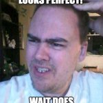 indecisive | EVERYHTING LOOKS PERFECT! WAIT DOES THIS MAKE SENSE? | image tagged in indecisive | made w/ Imgflip meme maker