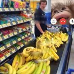 Monkey at checkout | image tagged in banana checkout | made w/ Imgflip meme maker