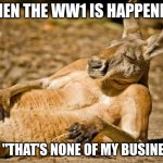 Chillin Kangaroo | WHEN THE WW1 IS HAPPENING; U.S: "THAT'S NONE OF MY BUSINESS" | image tagged in chillin kangaroo | made w/ Imgflip meme maker