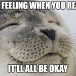Satisfied Seal | THAT FEELING WHEN YOU REALIZE; IT'LL ALL BE OKAY | image tagged in memes,satisfied seal | made w/ Imgflip meme maker