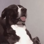 My boss pretending to understand what I do | My boss pretending to understand what I do | image tagged in gifs,work,funny,meme,boss | made w/ Imgflip video-to-gif maker