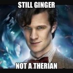 Still ginger | STILL GINGER; NOT A THERIAN | image tagged in 11th doctor face,therian,ginger,11th doctor,memes,doctor who | made w/ Imgflip meme maker
