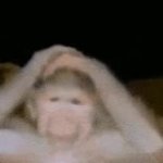 confused monkey GIF Template