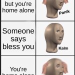 Panik Kalm Panik Meme | You sneeze but you're home alone; Someone says bless you; You're home alone | image tagged in memes,panik kalm panik | made w/ Imgflip meme maker